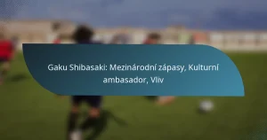 Gaku Shibasaki: Mezinárodní zápasy, Kulturní ambasador, Vliv
