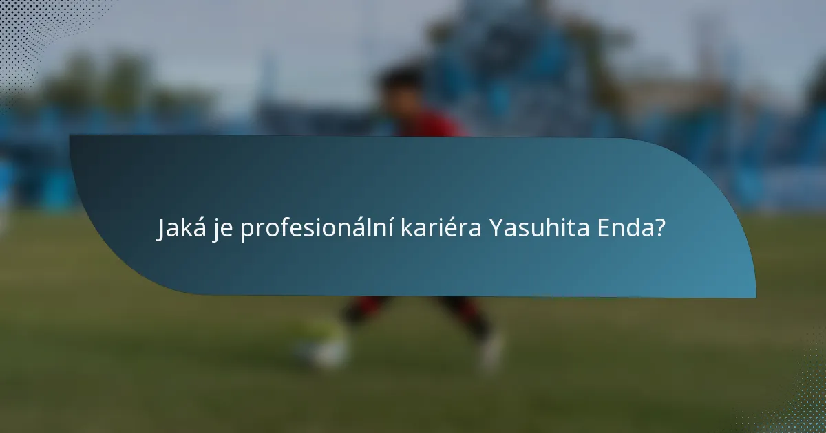 Jaká je profesionální kariéra Yasuhita Enda?