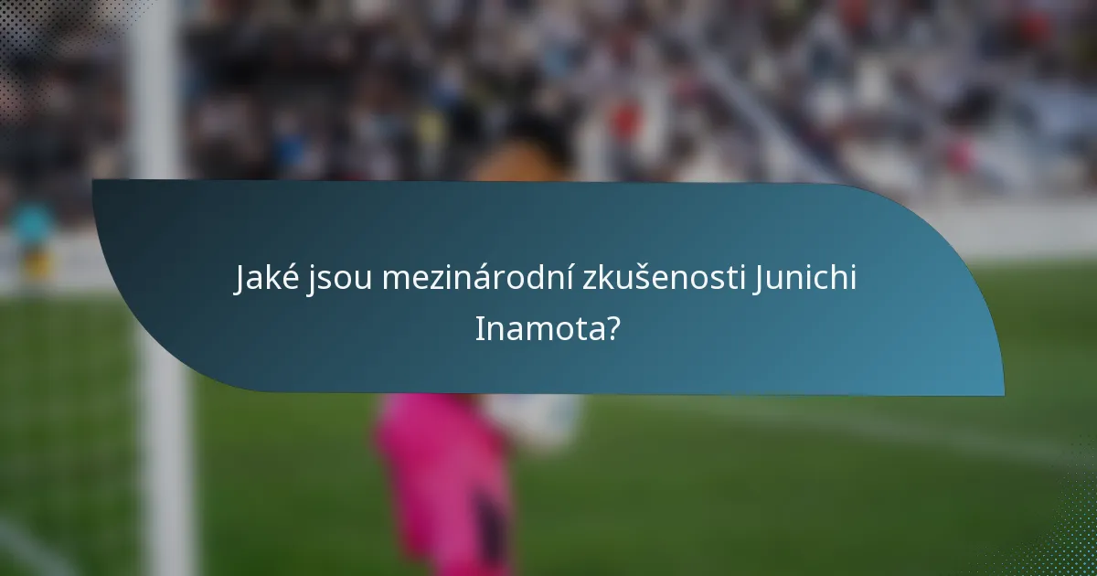 Jaké jsou mezinárodní zkušenosti Junichi Inamota?