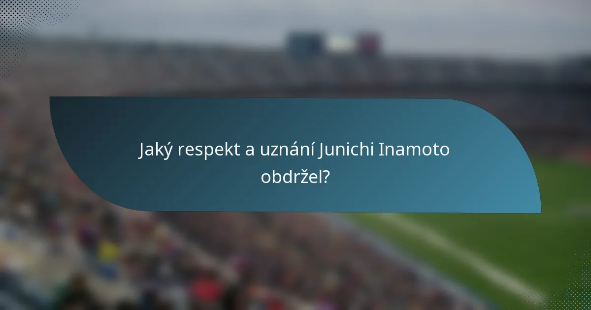 Jaký respekt a uznání Junichi Inamoto obdržel?